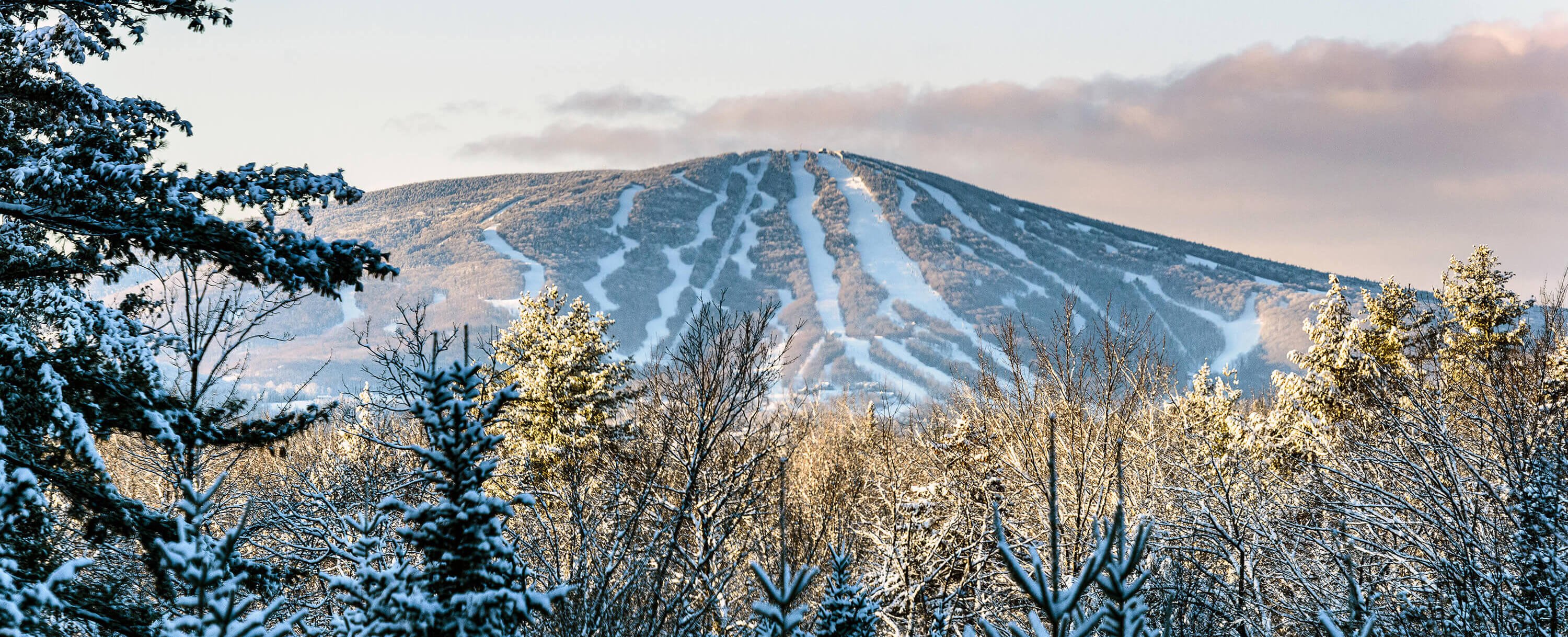 stratton mountain club